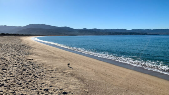 Plage du Ricanto, Ajaccio