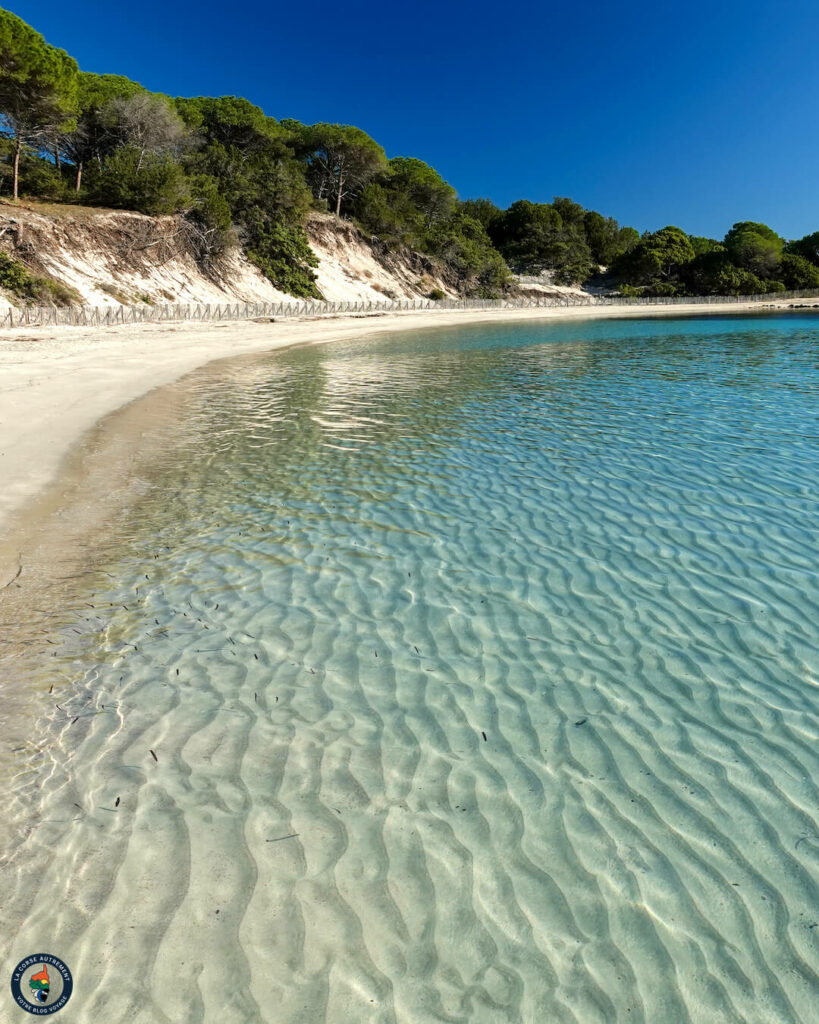 Corse La plage de Tamaricciu