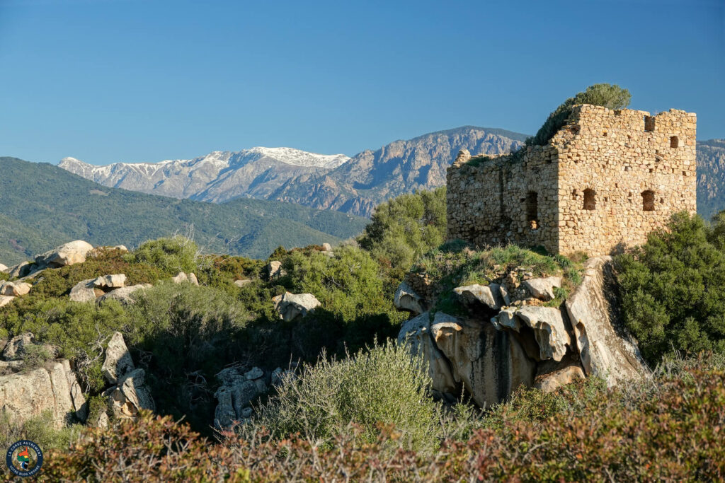 Maison fortifiée et tour de Capigliolo