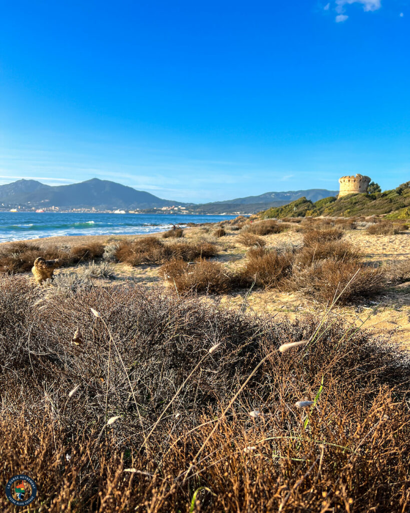Plage de Capitello