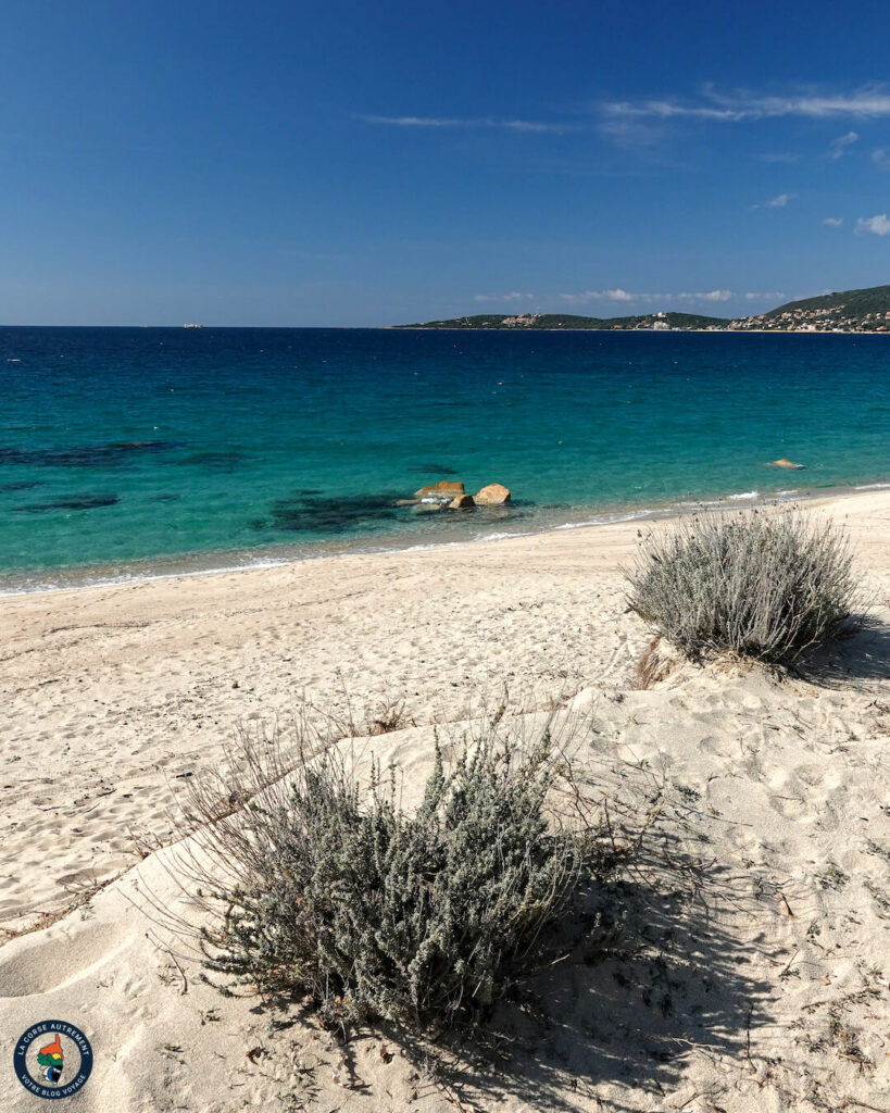 Plage de Tenutella, Olmeto plage