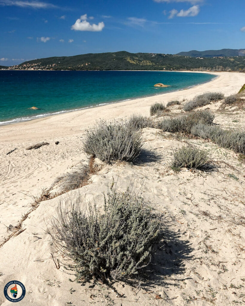 Plage de Tenutella, Olmeto plage