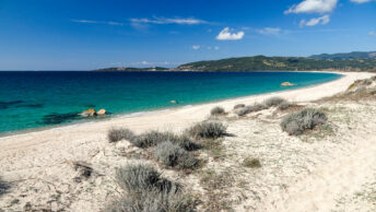 Plage de Tenutella, Olmeto plage