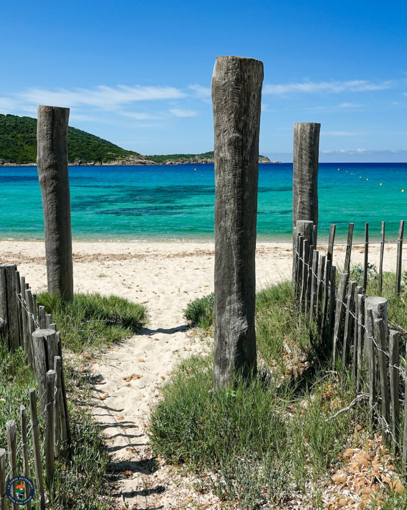 La plage de Chiuni