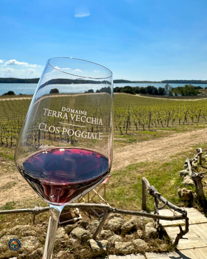 Domaine Terra Vecchia - Clos Poggiale