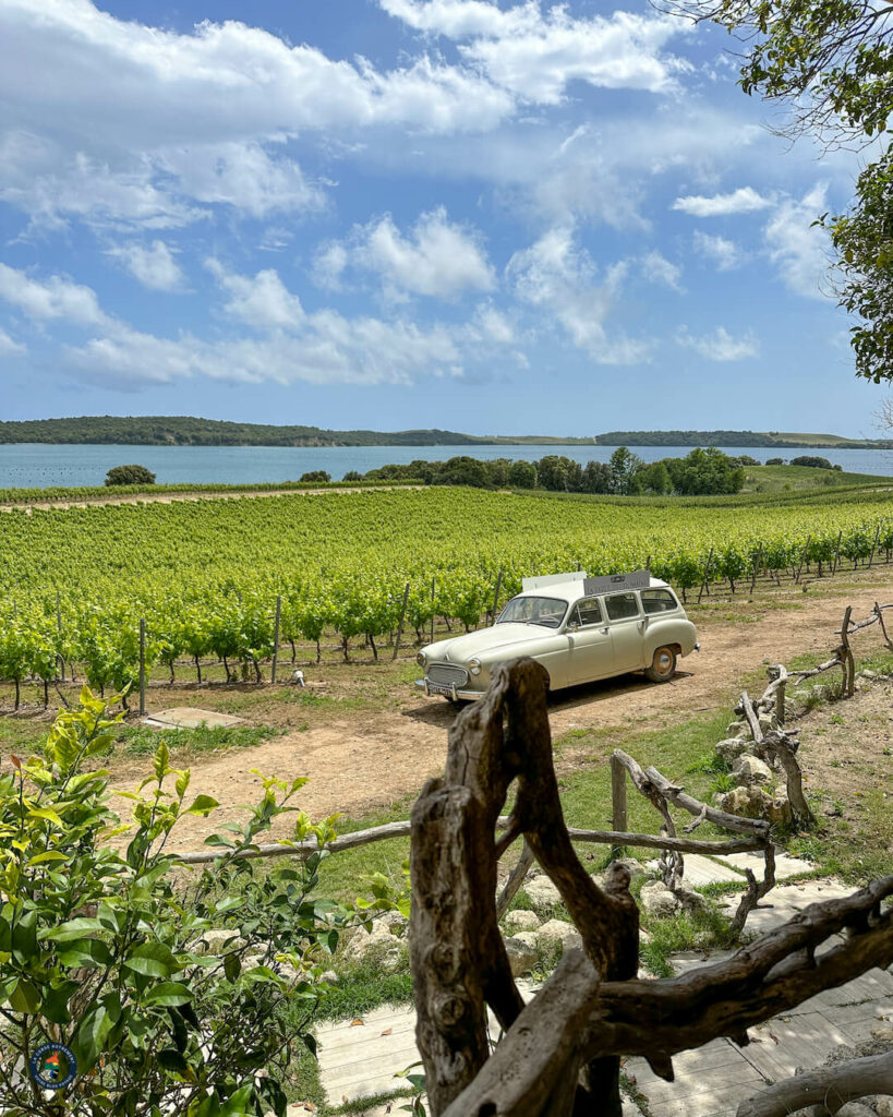 Domaine Terra Vecchia - Clos Poggiale