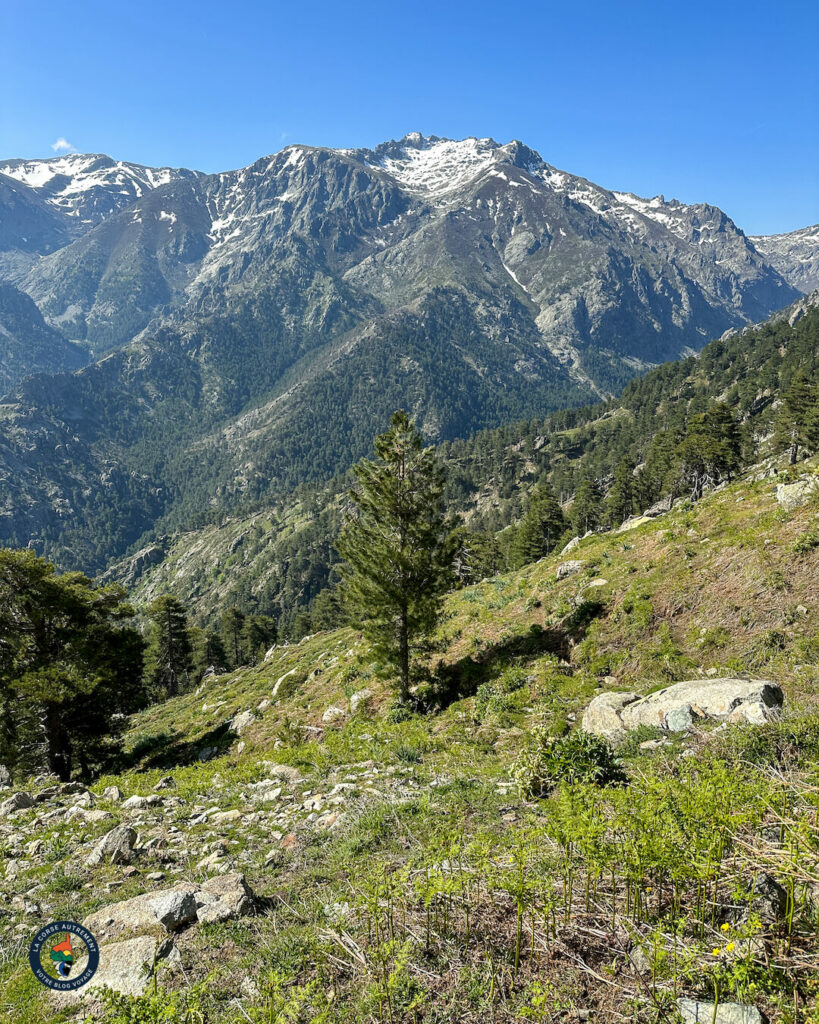 Le plateau d'Alzu