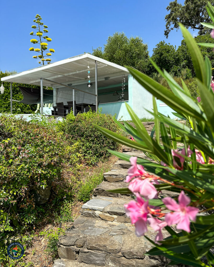 Location maison à San Giuliano, en Haute-Corse