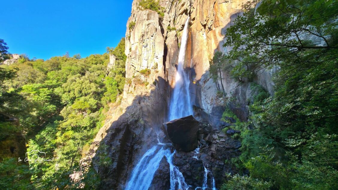 Piscia di Ghjaddu
