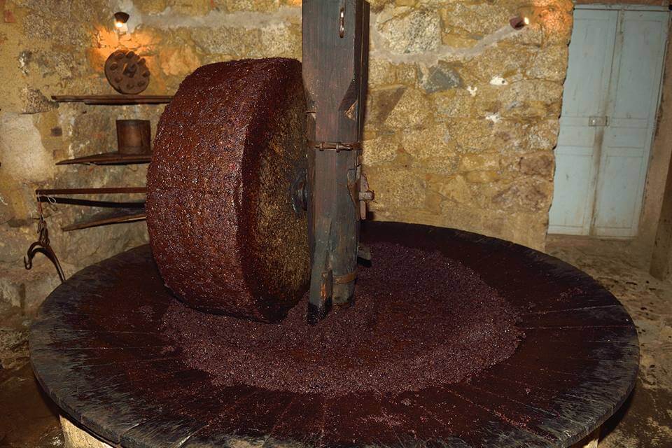 Bienvenue à la ferme Corse