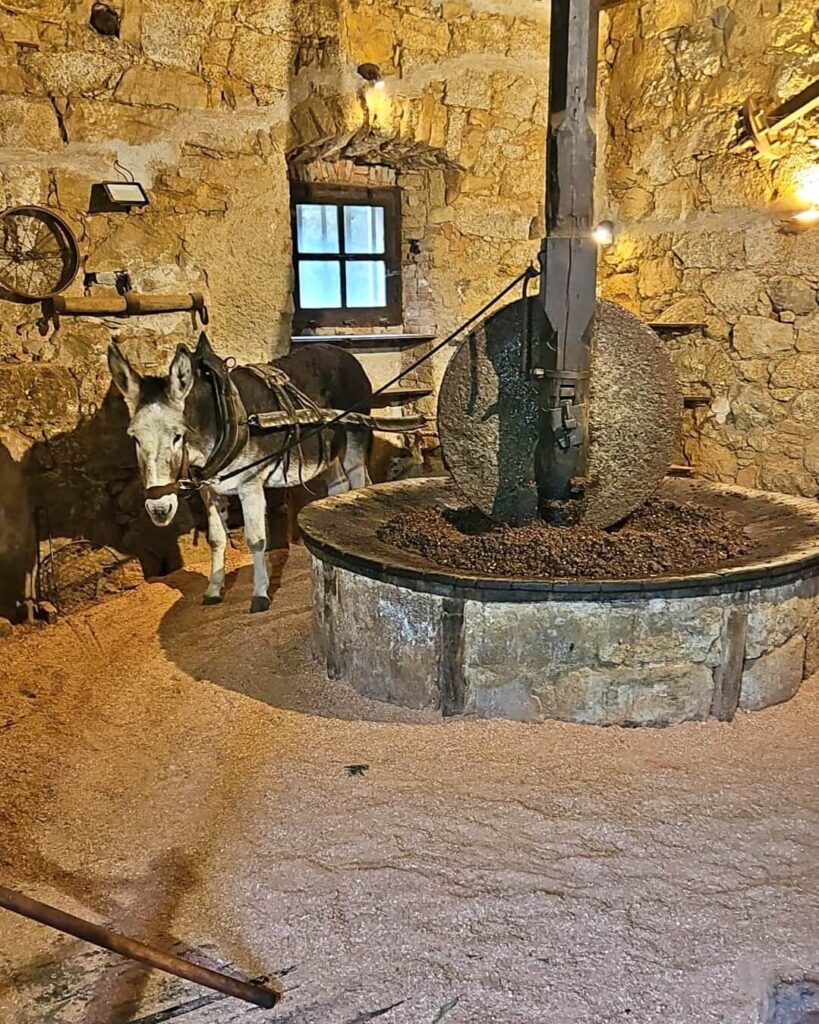 Bienvenue à la ferme Corse