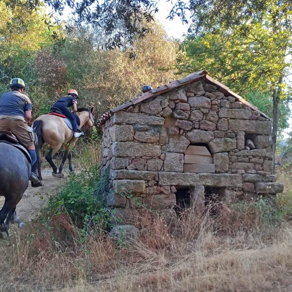 Bienvenue à la ferme Corse