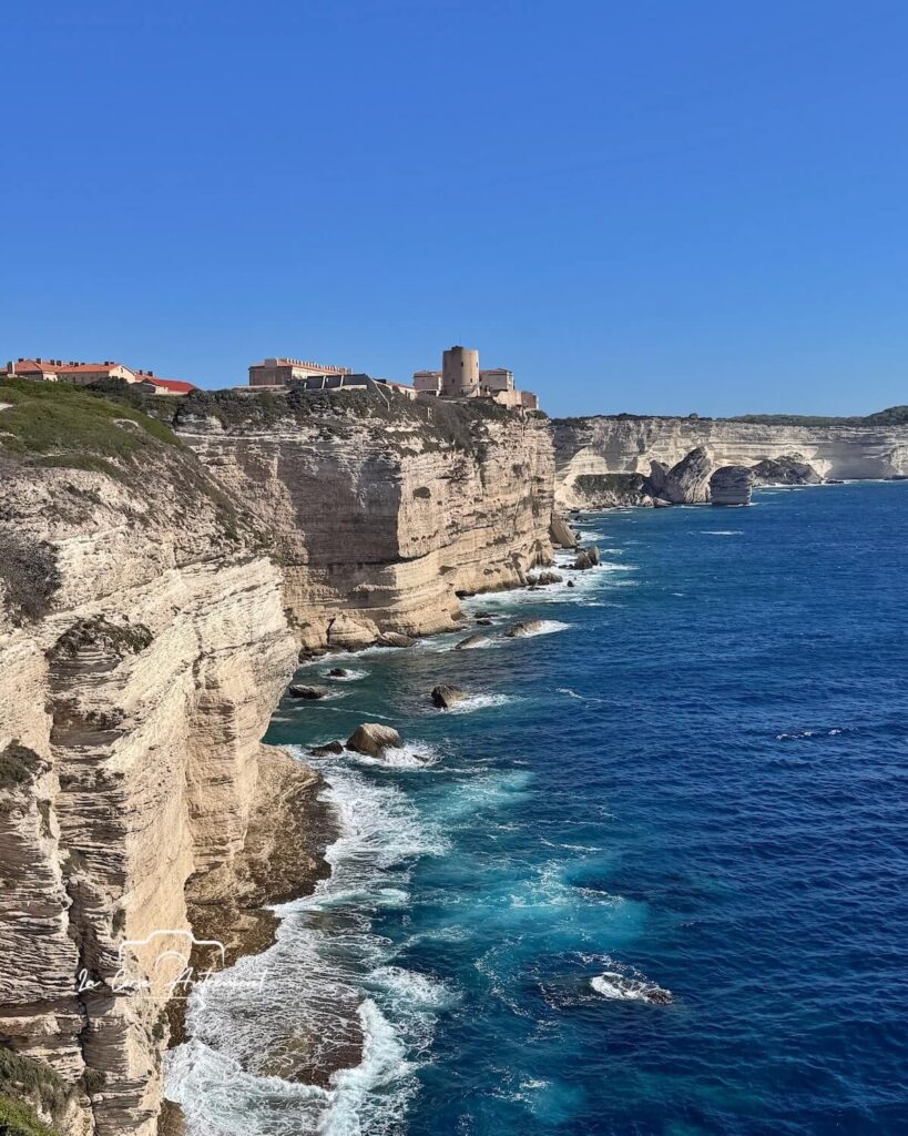 Bonifacio