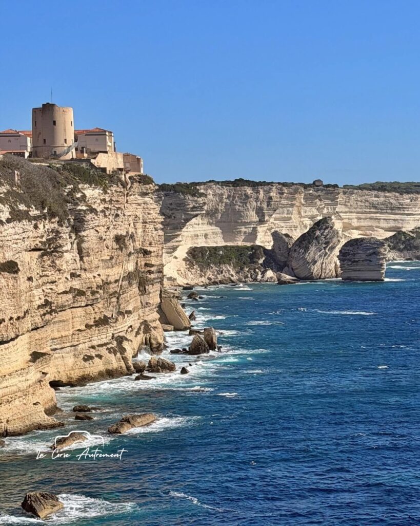 Bonifacio