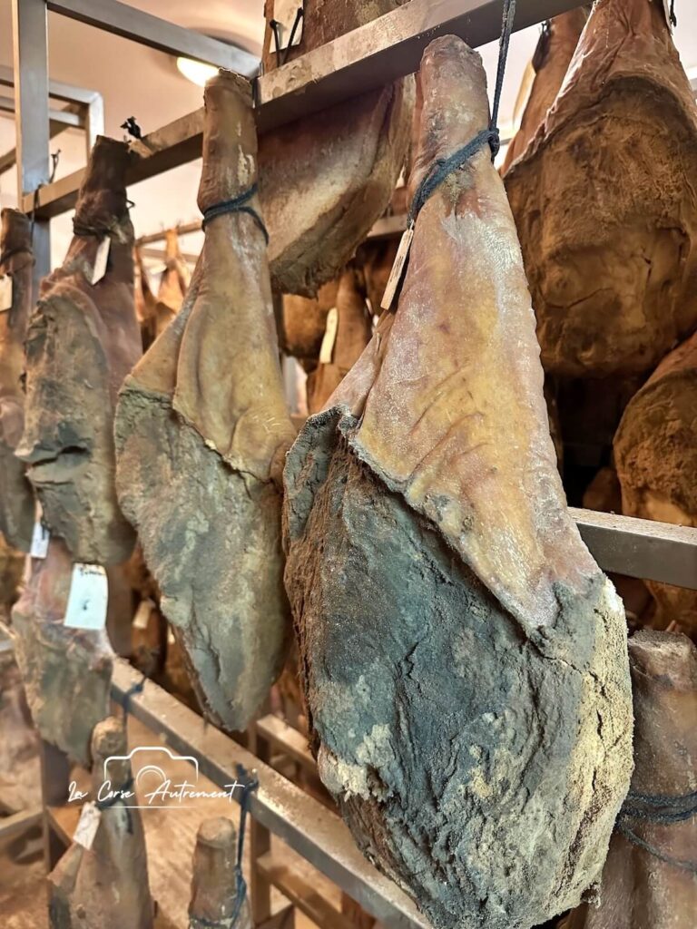 U Porcu Neru, Ucciani