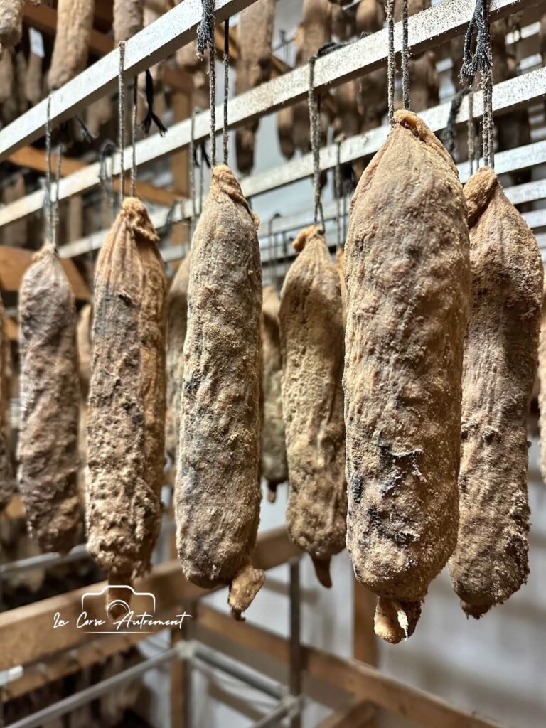 U Porcu Neru, Ucciani