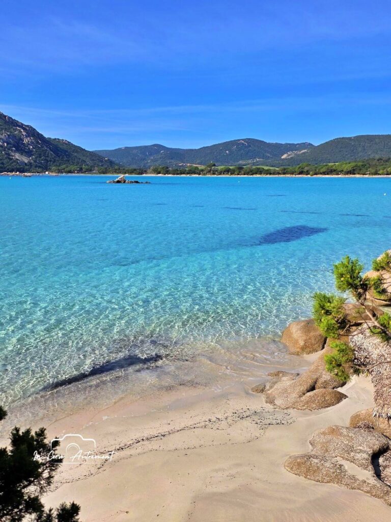 Santa Giulia