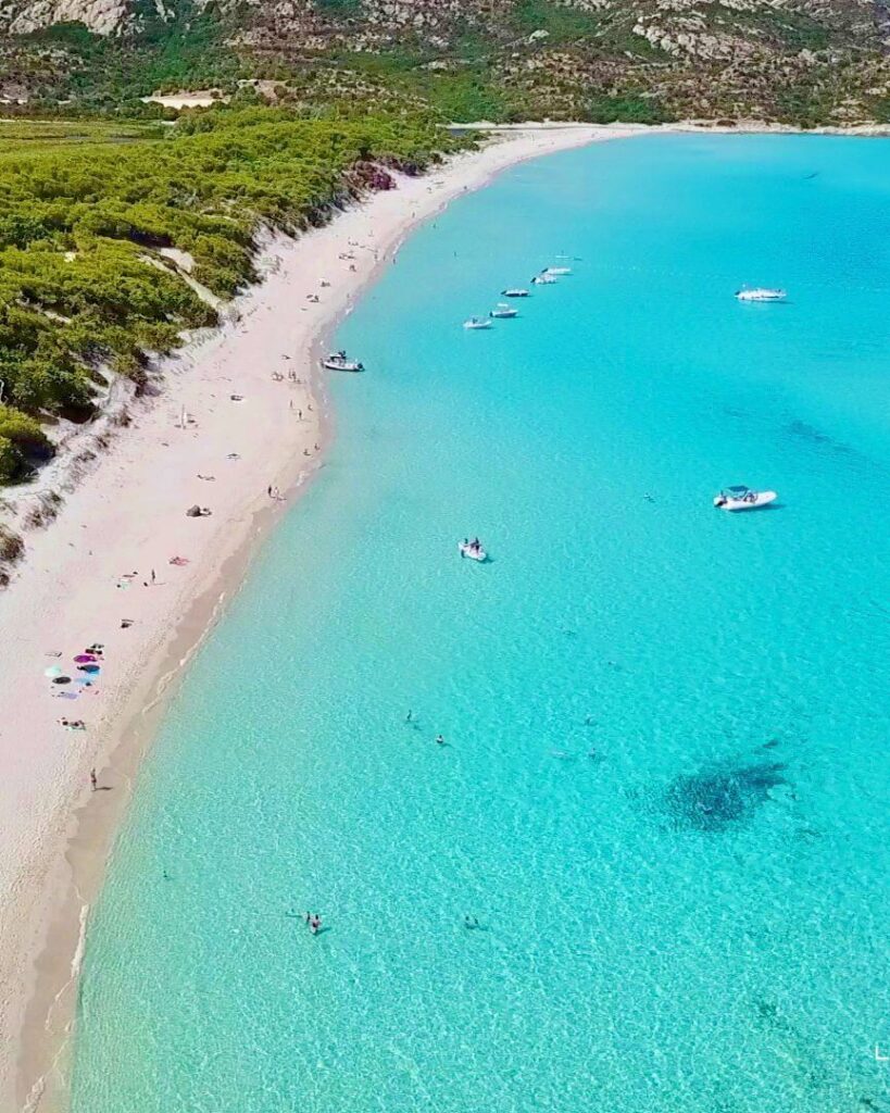 Saleccia