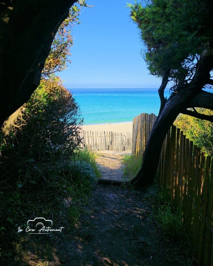 La plage de Bodri, en Balagne