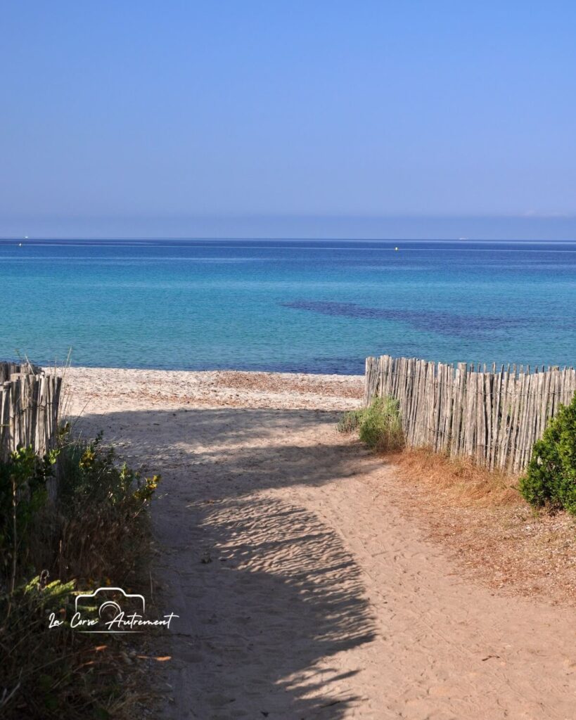 La plage de Capo di Feno, Ajaccio