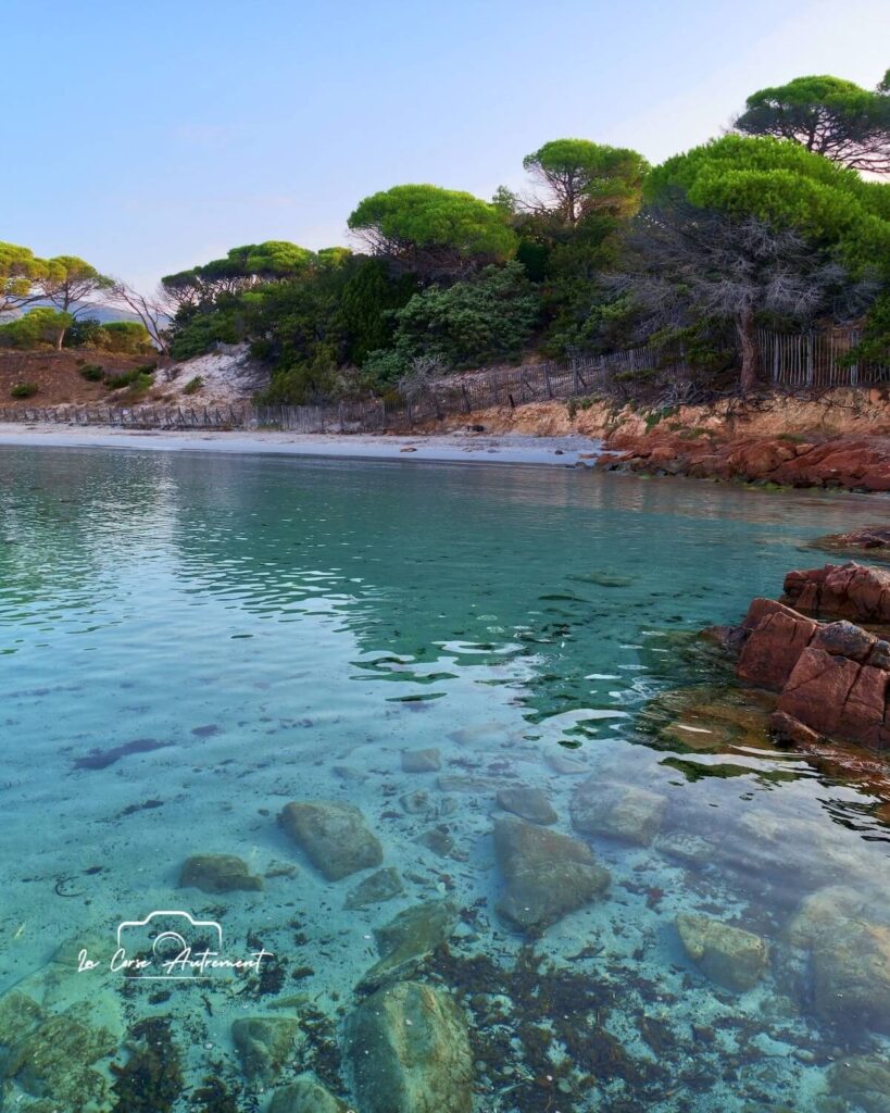 Plage de Palombaggia