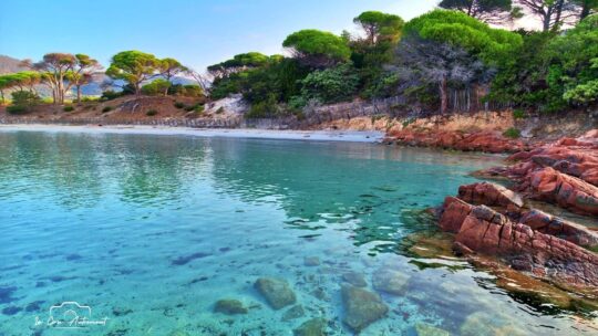Plage de Palombaggia