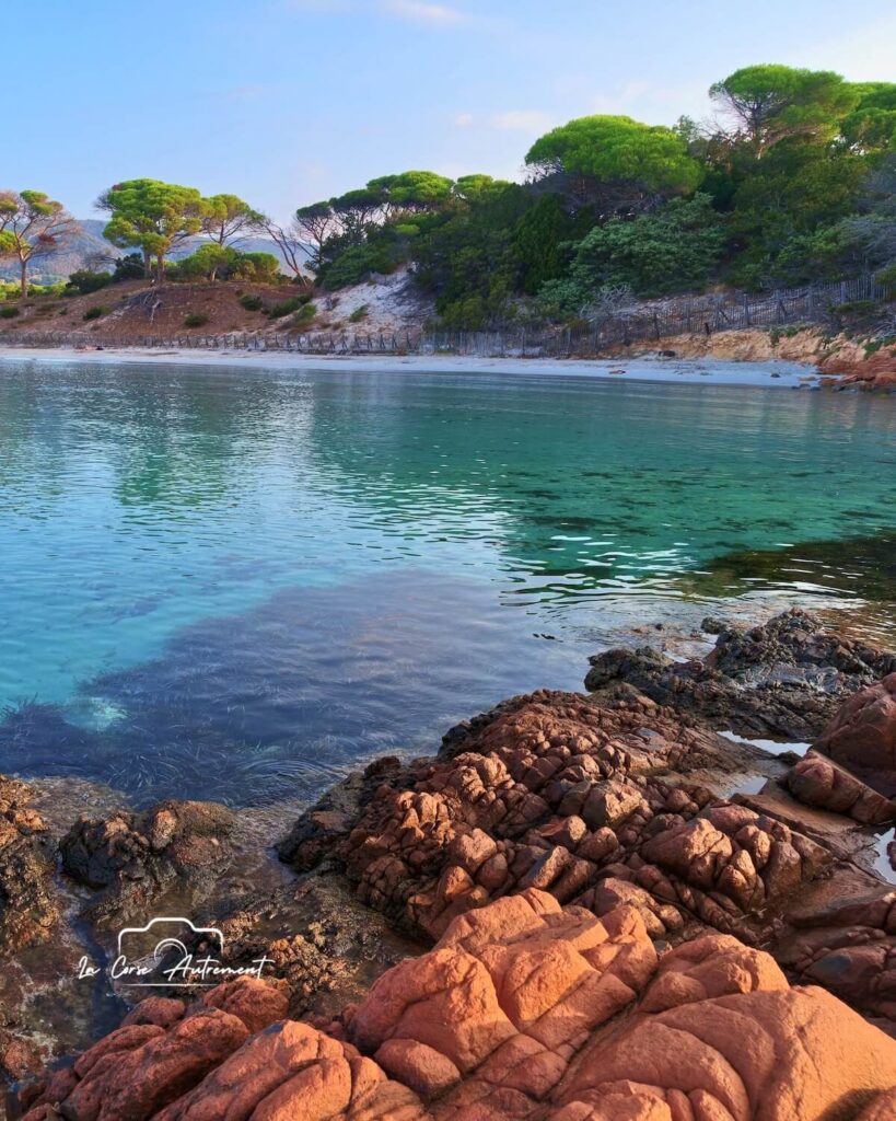 Plage de Palombaggia