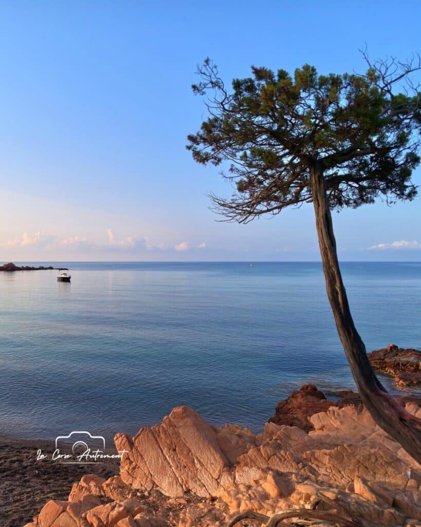 Plage de Palombaggia