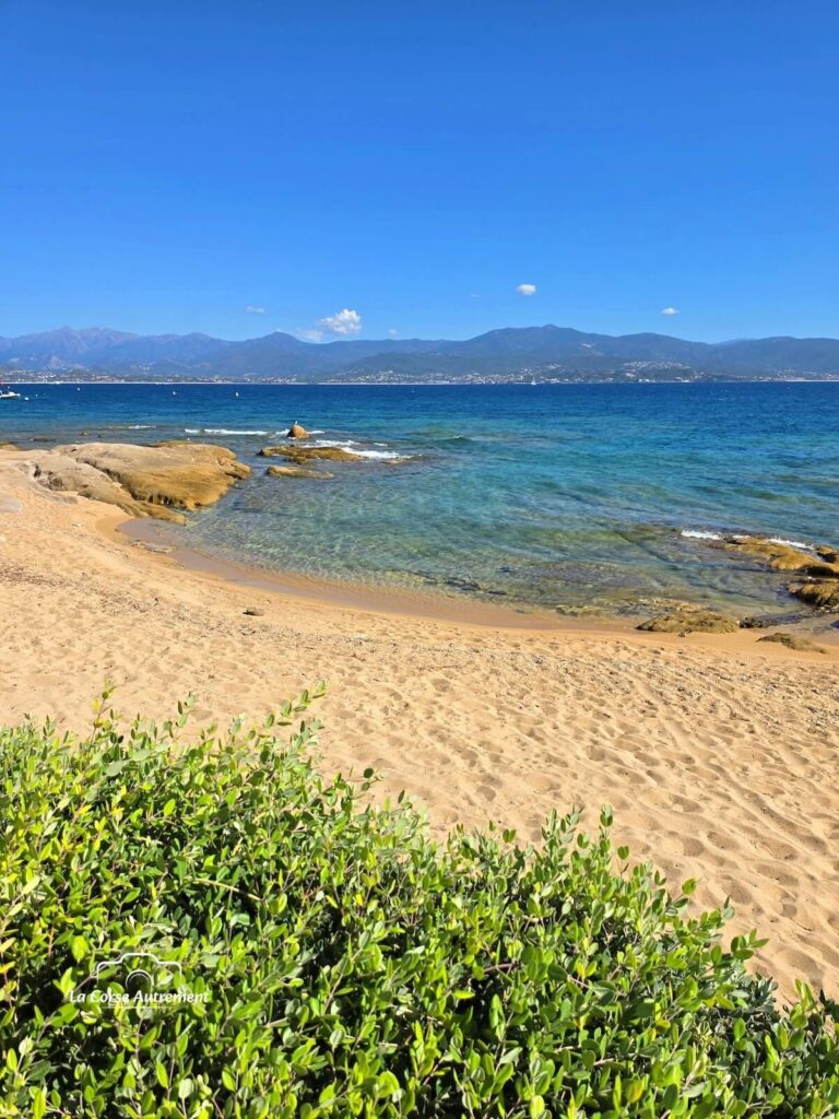 Villa pieds dans l'eau A Piaghja à Ajaccio